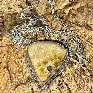 Fossilized Coral Pendant Necklace 15” -17”